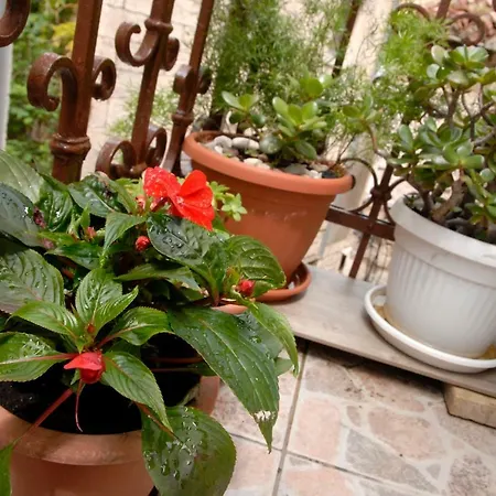 Apartman Tina Komiza